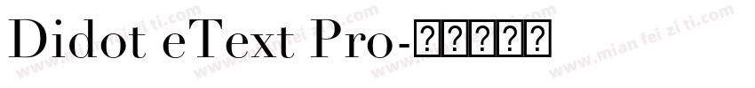 Didot eText Pro字体转换